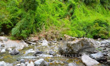 Campo ganadero Futrono