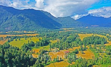 Campo ganadero Futrono