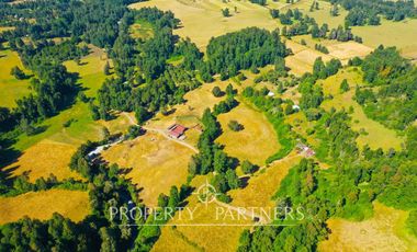 Campo ganadero Futrono