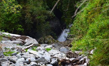 Campo ganadero Futrono