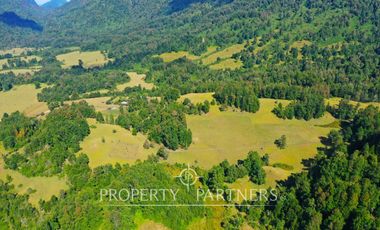 Campo ganadero Futrono