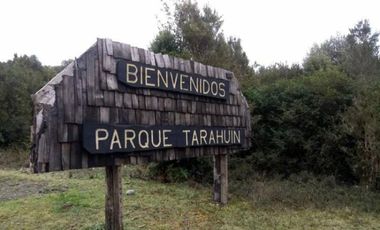 Hermosa parcela Parque Tarahuin , Chiloe