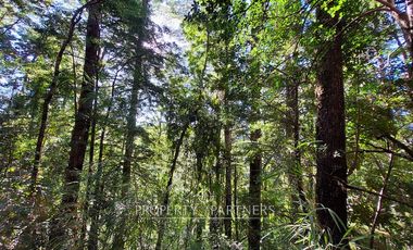 Encantadora casa Rústica en medio del bosque de Huilo-Huilo