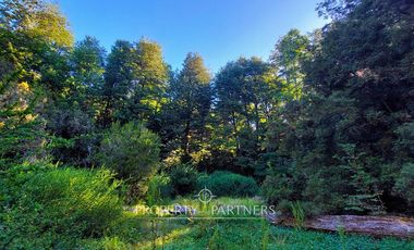 Encantadora casa Rústica en medio del bosque de Huilo-Huilo