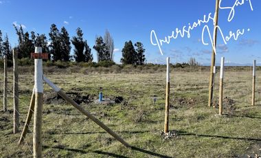 Parcelas en venta Región del ÑUBLE, Ñiquén