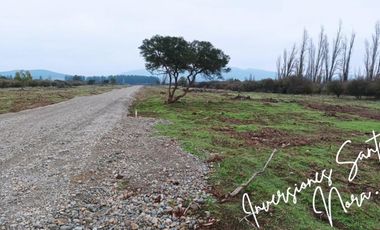 Parcelas en venta Región del ÑUBLE, Ñiquén