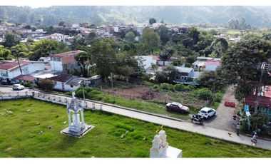 VENTA LOTE URBANO 1000 M2 SALENTO