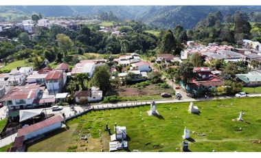 VENTA LOTE URBANO 1000 M2 SALENTO