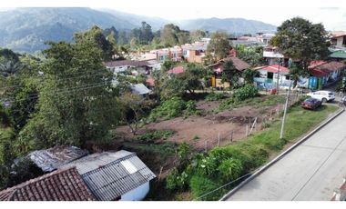 VENTA LOTE URBANO 1000 M2 SALENTO