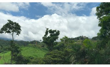 Terreno en venta - Tarapoto - Sector Tacunga