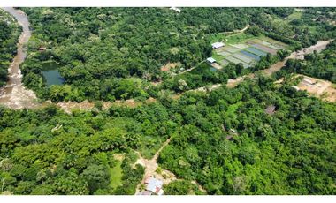 Terreno en venta - Tarapoto - Sector Tacunga