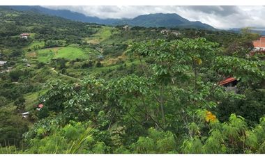 Terreno en venta - Tarapoto - Sector Tacunga