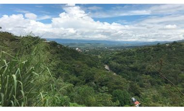 Terreno en venta - Tarapoto - Sector Tacunga