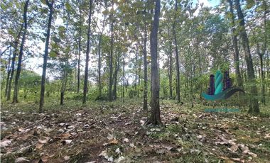 VENDO FINCA DE 3HECTAREAS COLINDANTE CON QUEBRADA