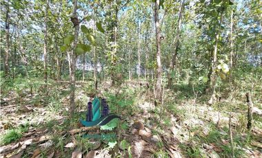 VENDO FINCA DE 3HECTAREAS COLINDANTE CON QUEBRADA