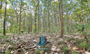 VENDO FINCA DE 3HECTAREAS COLINDANTE CON QUEBRADA