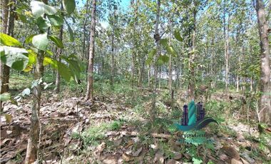 VENDO FINCA DE 3HECTAREAS COLINDANTE CON QUEBRADA