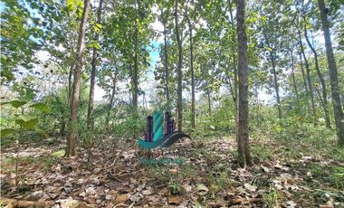 VENDO FINCA DE 3HECTAREAS COLINDANTE CON QUEBRADA