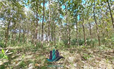 VENDO FINCA DE 3HECTAREAS COLINDANTE CON QUEBRADA