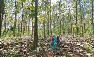 VENDO FINCA DE 3HECTAREAS COLINDANTE CON QUEBRADA