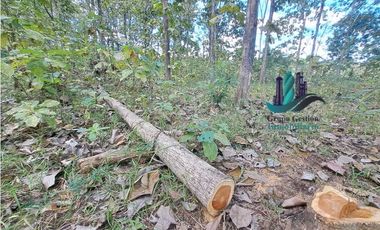 VENDO FINCA DE 3HECTAREAS COLINDANTE CON QUEBRADA