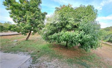 ALQUILL CASA DE 3HAB LOS ALGARROBOS