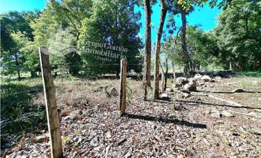 VENDO FINCA DE 10HA TOPOGRAFIA PLANA