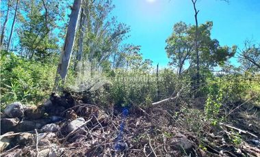 VENDO FINCA DE 10HA TOPOGRAFIA PLANA