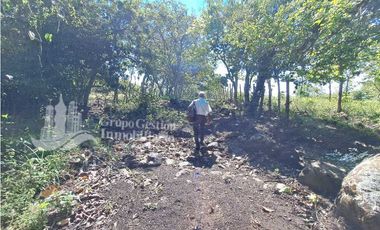 VENDO FINCA DE 10HA TOPOGRAFIA PLANA