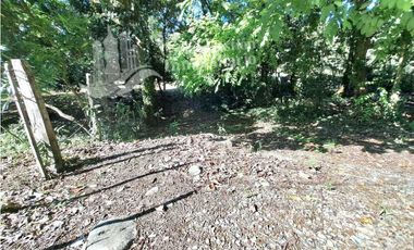 VENDO FINCA DE 10HA TOPOGRAFIA PLANA