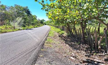 VENDO FINCA DE 10HA TOPOGRAFIA PLANA