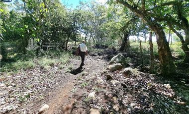 VENDO FINCA DE 10HA TOPOGRAFIA PLANA