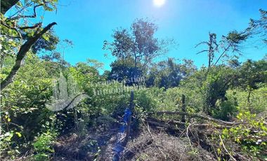 VENDO FINCA DE 10HA TOPOGRAFIA PLANA