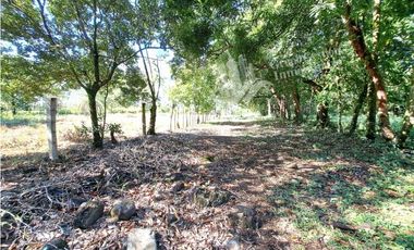 VENDO FINCA DE 10HA TOPOGRAFIA PLANA