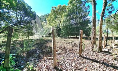 VENDO FINCA DE 10HA TOPOGRAFIA PLANA