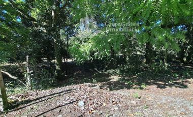 VENDO FINCA DE 10HA TOPOGRAFIA PLANA