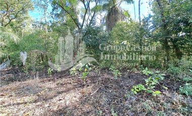 VENDO FINCA DE 10HA TOPOGRAFIA PLANA