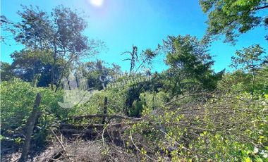 VENDO FINCA DE 10HA TOPOGRAFIA PLANA