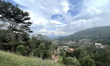 VENTA de CASAS en SANTA ELENA