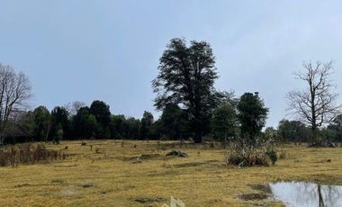 Agrícola en Venta en QJXF+HRM Comieufu, La Unión