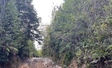 Agrícola en Venta en QJXF+HRM Comieufu, La Unión