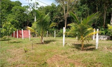 Venta de finca de 1 hectárea de 450 mill en Tocaima Cund, COL