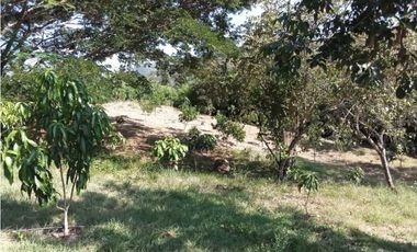 Venta de finca de 1 hectárea de 450 mill en Tocaima Cund, COL
