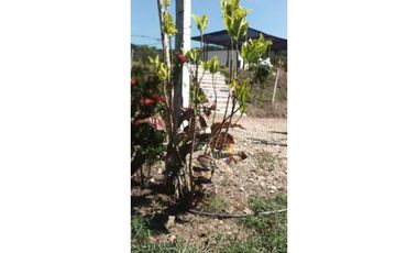 Venta de finca de 1 hectárea de 450 mill en Tocaima Cund, COL