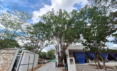 Departamento en Venta  Mérida Yucatán, Monné Temozón