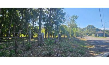VENDO LOTE EN DOLEGA  6000 METROS