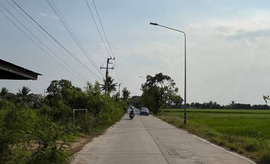 Land for sale in Bueng Kho Hai, Pathum Thani