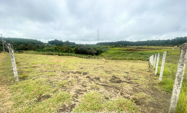 VENDO LOTE EN PARCELACIÓN CIUDAD VERDE