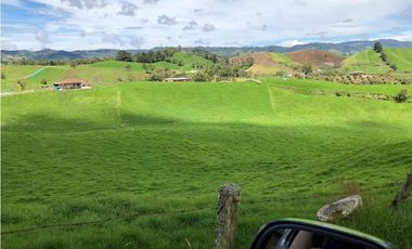 Venta de Finca en la Union