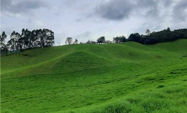 Venta de Finca en la Union